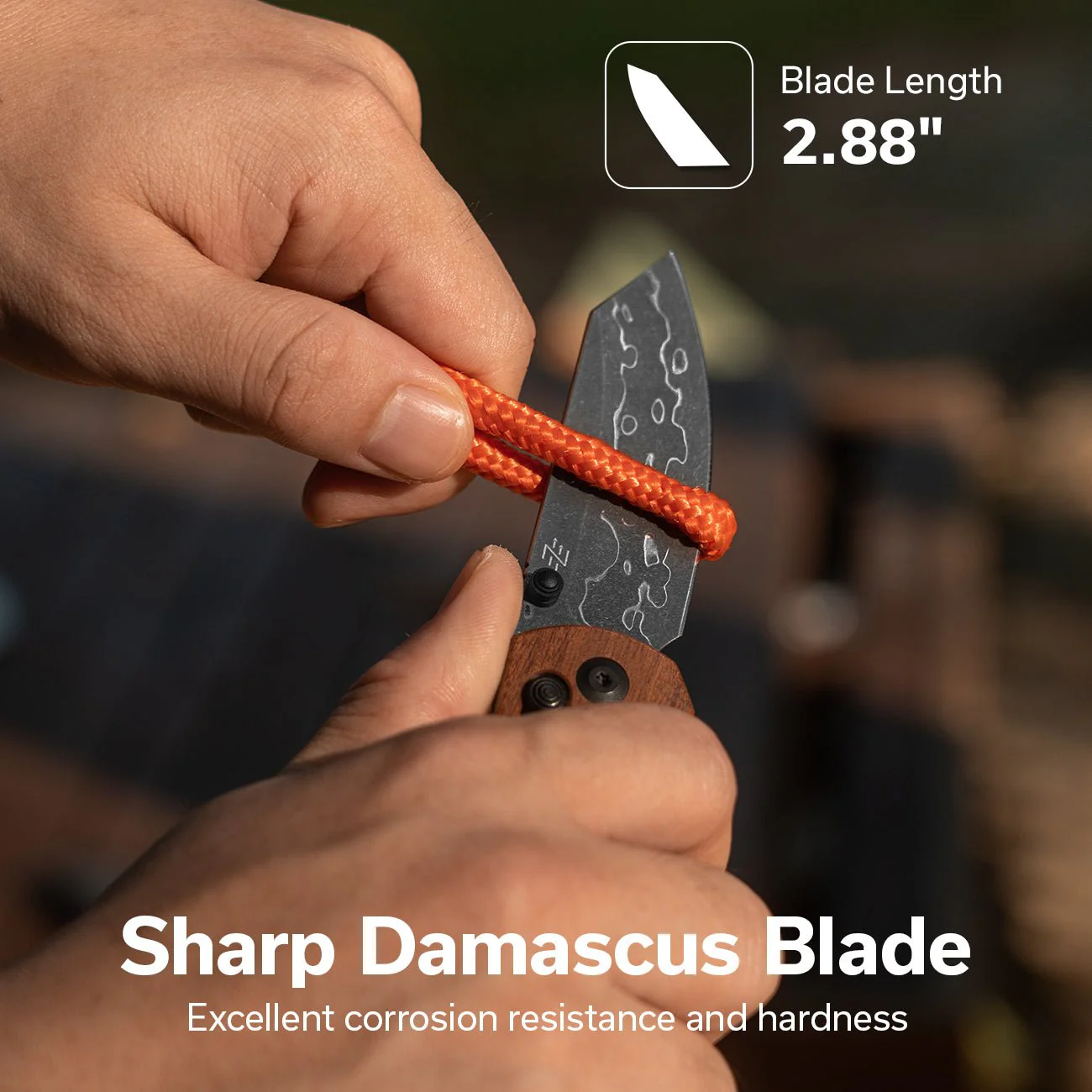 CIVIVI Yonder Thumb Stud & Crossbar Lock Knife Wood Handle (2.88" Damascus Blade) C23073B-DS1 - Image 4